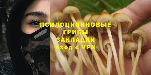 гашик Лагань