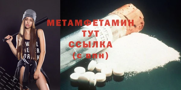 мдпв Ладушкин