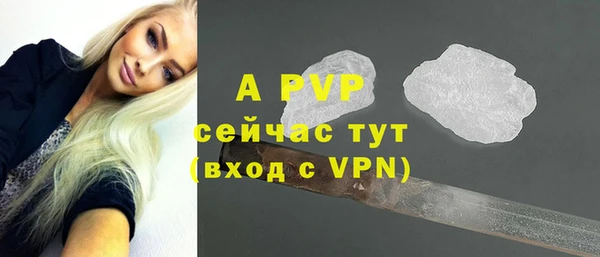 мдпв Ладушкин