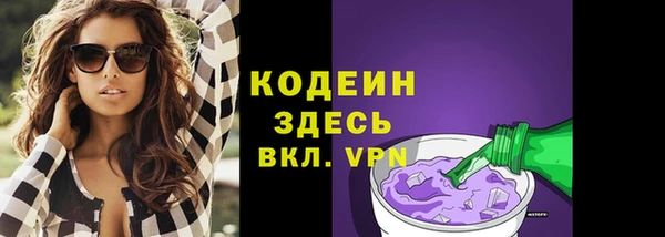 мдпв Ладушкин