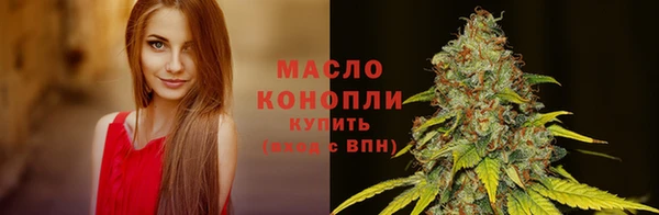 крисы Лабытнанги