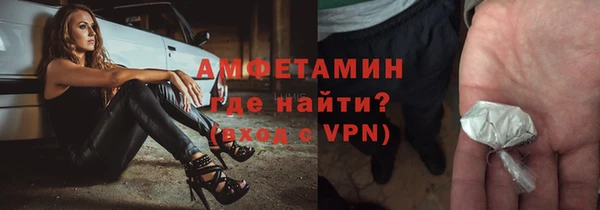 мдпв Ладушкин