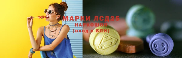 гашик Лагань