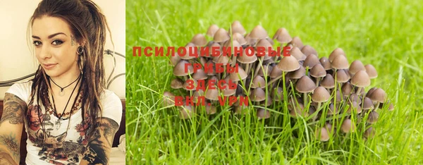 мдпв Ладушкин