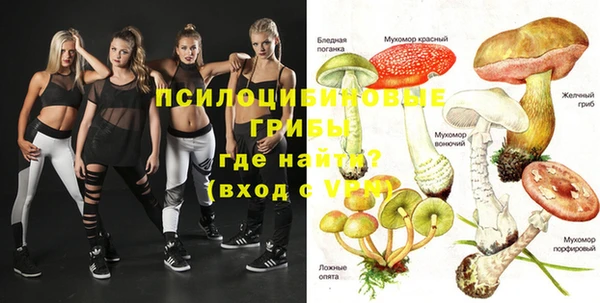 мдпв Ладушкин