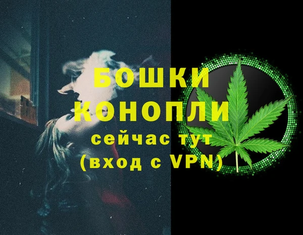 мдпв Ладушкин