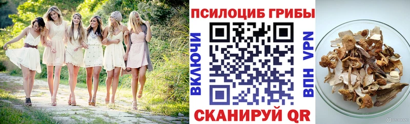 Псилоцибиновые грибы Cubensis  Шарыпово 