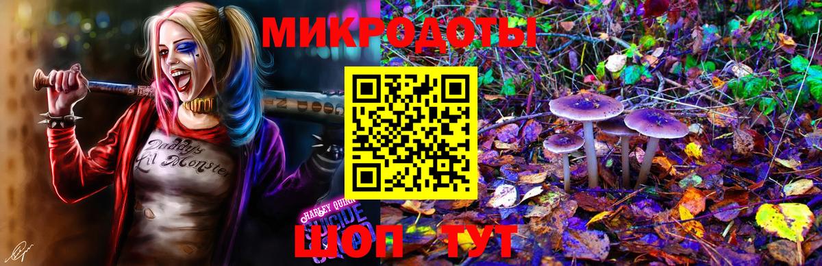 Галлюциногенные грибы Psilocybe Шарыпово